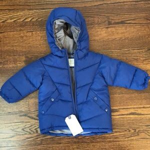 Zara NWT 12-18 month baby boy puffer